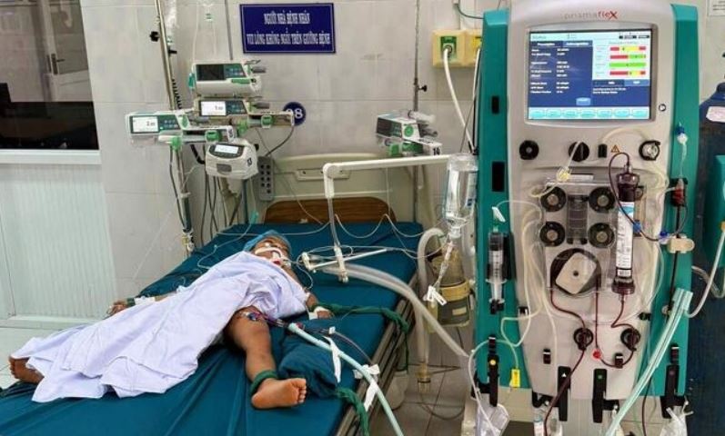 Bị 23 vết ong vò vẽ đốt, bé 5 tuổi ở Gia Lai tử vong