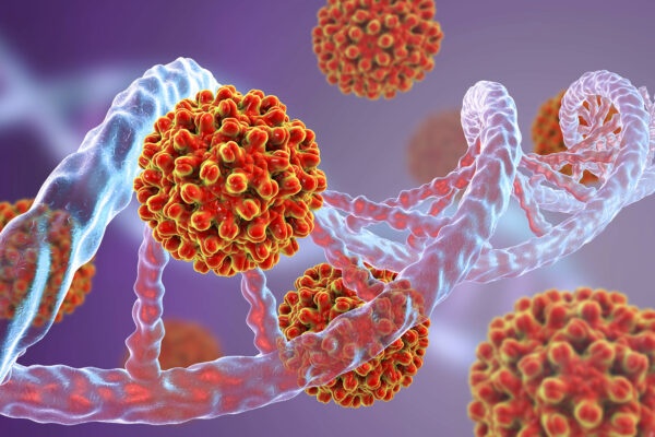 Virus viêm gan B có lây khi ăn uống cùng người nhiễm?