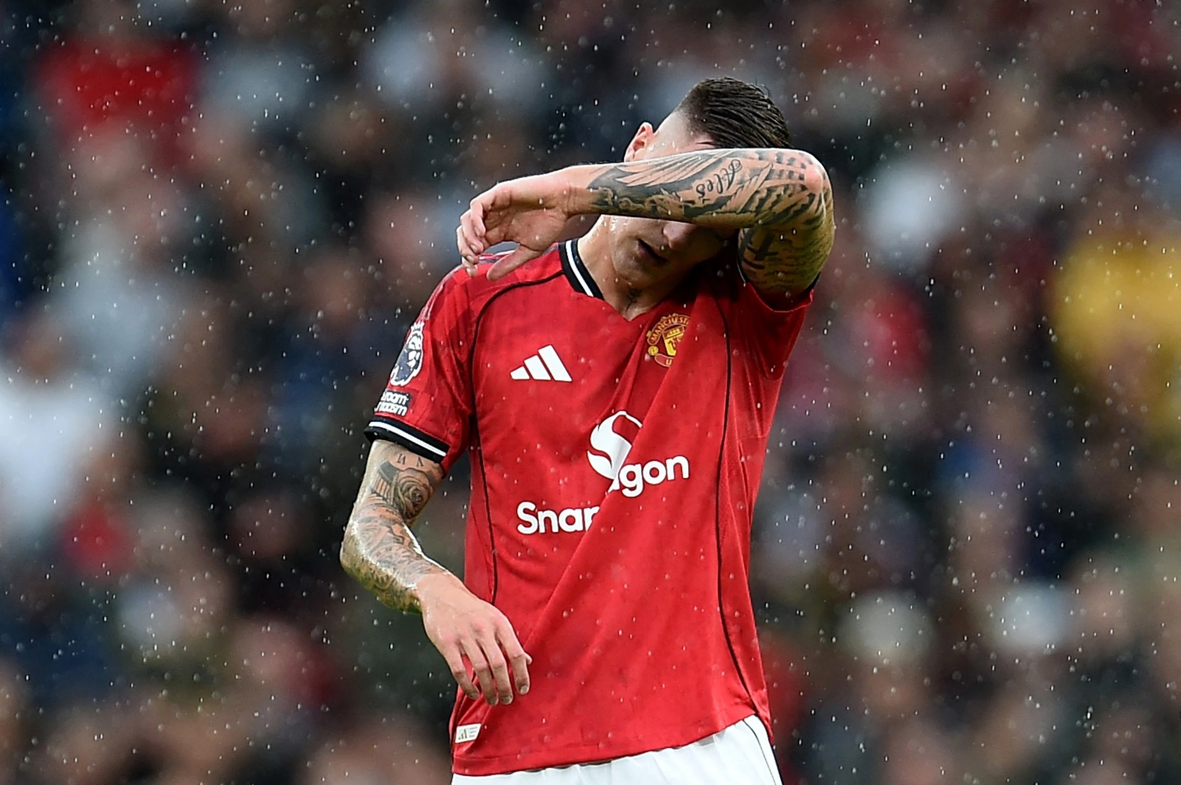 Thống kê thảm họa của Sesko