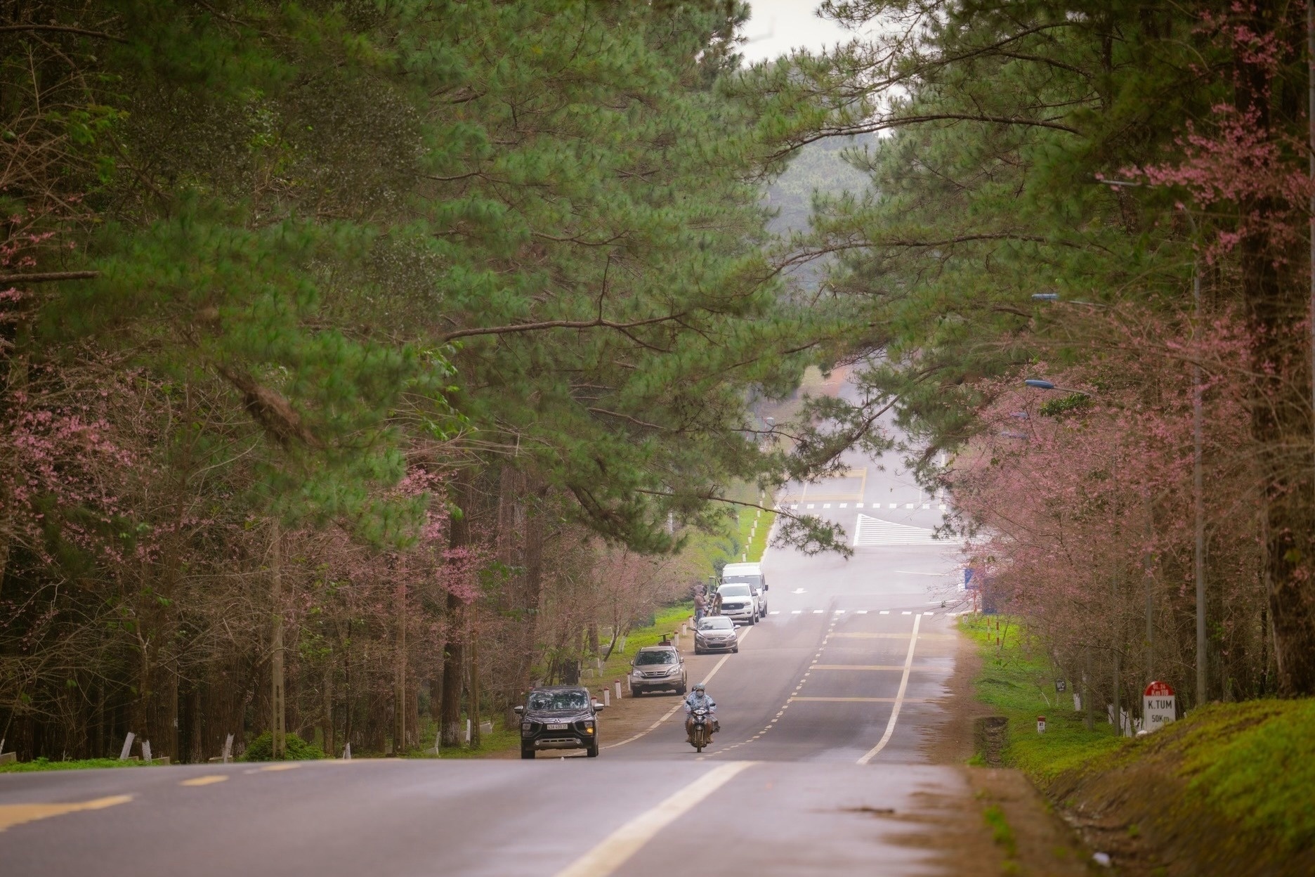 Đề xuất cơ chế đặc thù huy động vốn xây sân bay Măng Đen