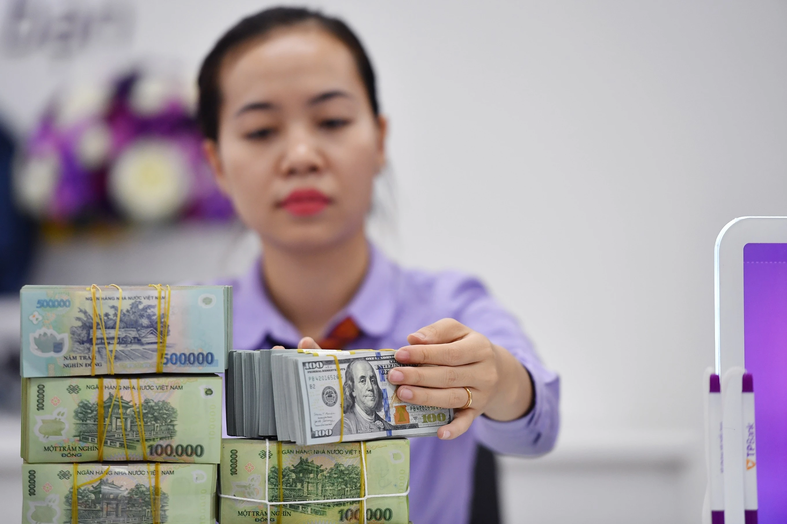 Tỷ giá USD/VND giảm đồng loạt