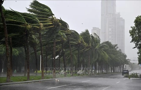 Hong Kong cảnh báo Ragasa mạnh lên thành siêu bão