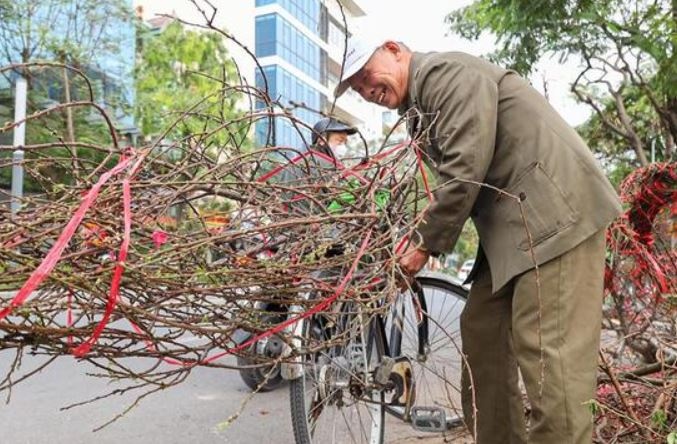 Dự báo thời tiết 29 Tết