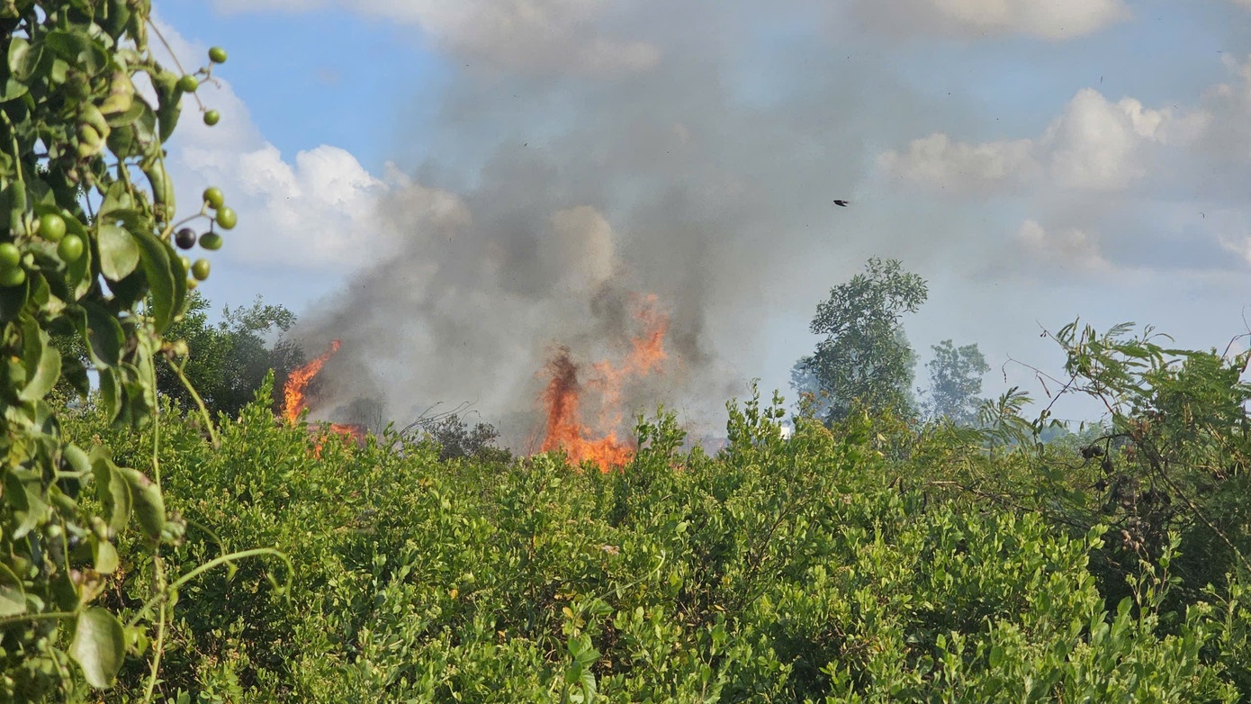 Đốt cỏ gây cháy lớn ở Cần Thơ