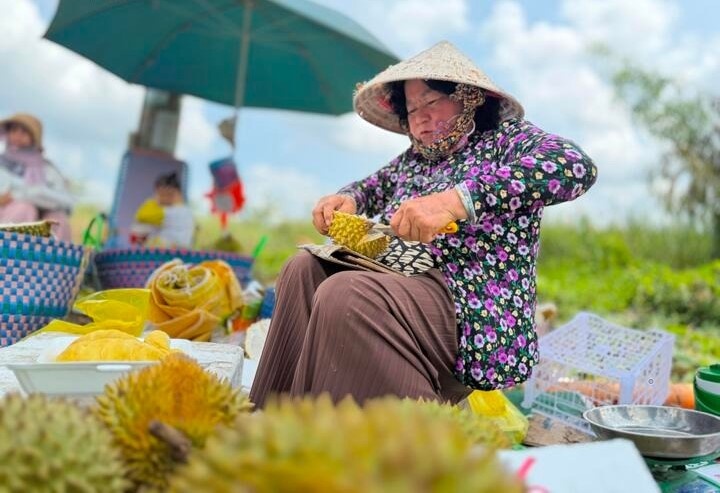 Con đường 'hot' nhất miền Tây: Nông dân đội nắng bán sầu riêng cả ngày